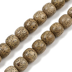 Natural Rudraksha Bodhi Seed Beads Strand&nbsp;WOOD-B010-A03-9x10mm