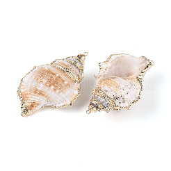 Natural Sea Shell Big Pendants with Golden Brass Edge&nbsp;BSHE-T014-19