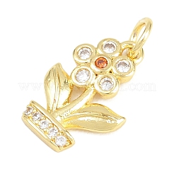 Brass Micro Pave Cubic Zirconia Pendants&nbsp;KK-F938-28G-04