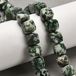Natural Green Spot Jasper Beads Strands&nbsp;G-H078-C27-01