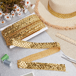 Sparkle Lace Ribbon with PVC Paillette&nbsp;OCOR-WH0078-388A