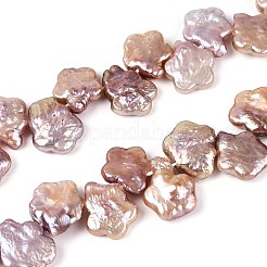 Natural Baroque Keshi Pearl Beads Strands&nbsp;PEAR-S020-A04-02