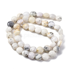 Natural White African Opal Beads Strands&nbsp;G-C179-A35-03
