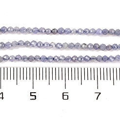 Natural Tanzanite Beads Strands&nbsp;X-G-F770-C04-03