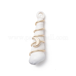 銅、アクリル、プラスチックのペンダント  巻き貝の形  ミックスカラー  38.5x11x12~14mm  穴：3mm&nbsp;PALLOY-JF03887-02