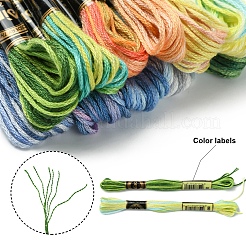6層ポリエステル刺繍フロス  クロスステッチの糸  雪が激しく降るカラーシリーズ  ミックスカラー  0.5~1mm  約8.75ヤード（8m）/バンドル  12束/セット&nbsp;OCOR-FZ0001-01F