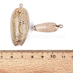 Electroplate Natural Spiral Shell Pendants&nbsp;SSHEL-Q100-53G