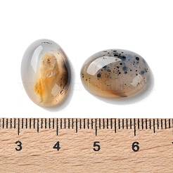 Natural Dendritic Agate Cabochons&nbsp;G-B138-02A