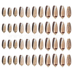 天然スパイラルシェルペンダント50個  貝殻の形のチャーム  27~33x12~16x9~13mm  穴：1mm&nbsp;SSHEL-CW0001-01