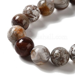 Natural Mexican Lace Agate Beads Strands&nbsp;G-E578-02B