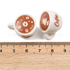 Opaque Resin Pendants&nbsp;FIND-I071-01