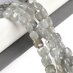天然石ラブラドライトビーズ連売り  正方形  8.5x8.5x5mm  穴：1.6mm  約50個/連  16.34''（41.5センチメートル）&nbsp;G-M435-A11-01