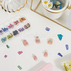 1 Set 12 Grid Nuggets Abalone Shell Nail Art Sequins for Woman Girls&nbsp;MRMJ-SP0001-07