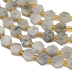 Natural White Labradorite Beads Strands&nbsp;G-F833-B10-01