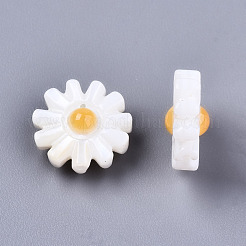 天然淡水シェルビーズ  花  貝殻色  10x4.5mm  穴：0.8mm&nbsp;SHEL-S266-14A