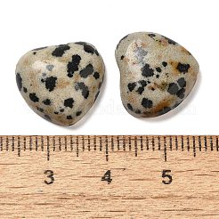 Natural Dalmatian Jasper Cabochons&nbsp;G-F776-02A-22