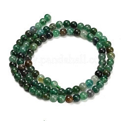 Natural Fuchsite Beads Strands&nbsp;G-L661-B01-4mm-A