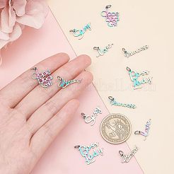 ワードテーマ 201 ステンレススチールペンダント  丸カン付き  言葉  虹色  7~20x16~23x1mm  穴：3mm  12個/箱&nbsp;STAS-UN0013-54
