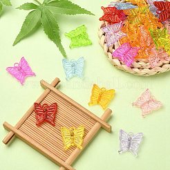 50g Transparent Acrylic Pendants&nbsp;TACR-YW0001-67