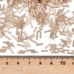 ガラス竹ビーズ  銀並ぶ  小麦  6~8x1.8mm  穴：0.6mm  10000個/ポンド&nbsp;TSDB6MM39A