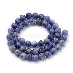 Natural Brazil Blue Spot Jasper Beads Strands&nbsp;G-S259-36-8mm