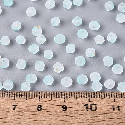 Frosted Glass Seed Beads&nbsp;SEED-N012-01C