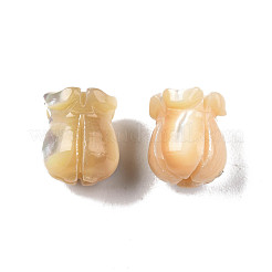 天然トロチッドシェル/トロカスシェルビーズ  花  9.5~10x8x8mm  穴：1mm&nbsp;SSHEL-N003-145B-A02