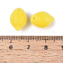 Glass Beads&nbsp;X-GLAA-T021-77M-01