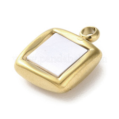 304 Stainless Steel Acrylic Pendants&nbsp;LS-STAS-M091-02D-G