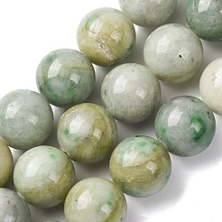 Natural Chinese Jade Beads Strands&nbsp;G-A310-A02-16mm