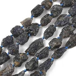 Raw Rough Natural Iolite Beads Strands&nbsp;G-D101-A01