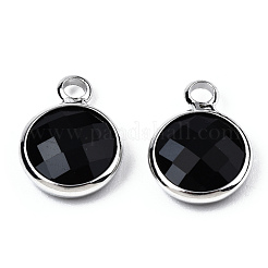 K9 Glass Charms&nbsp;GLAA-N038-22-02P
