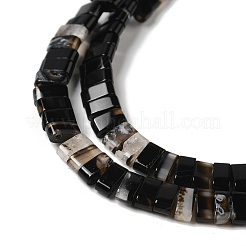 Natural Dyed & Heated Black Banded Agate/Striped Agate Beads Strands&nbsp;G-Z045-A12-01