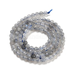 多面カットラウンド天然ラブラドライトビーズ連売り  3mm  穴：1mm  約124個/連  15.5インチ&nbsp;G-I156-03-3mm