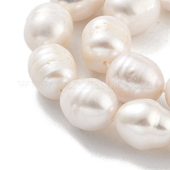 Natural Cultured Freshwater Pearl Beads Strands&nbsp;PEAR-P062-13C