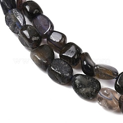 天然アイオライト/コーディエライト/ダイクロアイトビーズ連売り  ナゲット  8~15x8~10x5~8mm  穴：1mm  約41~44個/連  15.04~15.55''（38.2~39.5センチメートル）&nbsp;G-A284-A02-02