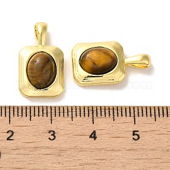天然石タイガーアイペンダント  真鍮製の長方形チャーム  18KGP本金メッキ  19x11x6mm  穴：4x2mm&nbsp;KK-H461-01G