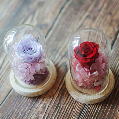 丸いガラスドームカバー  装飾ショーケース  クローシュベルジャー  ウッドベースと  ミックスカラー  20x20mm  2pc&nbsp;DIY-DR0001-52