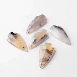 Dyed Natural Agate Shield Cabochons&nbsp;G-L347-03A