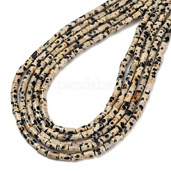 Natural Dalmatian Jasper Beads Strands&nbsp;G-P600-B01-01