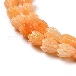 Synthetic Shell Dyed Carved Beads Strands&nbsp;SHEL-K007-08A-03