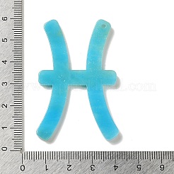 アクリルキーホルダーペンダント  12星座  魚座  55x34x2.5mm  穴：2mm&nbsp;LS-SACR-S608-04D-01