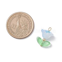 5個の手作りランプワークペンダント  花  ガラスと真鍮と  ゴールドカラー  19.5x14x11mm  穴：2mm&nbsp;PALLOY-TA00310