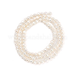 天然養殖淡水パールビーズ連売り  研磨両側  グレード6a+  貝殻色  2~3mm  穴：0.5mm  約113個/連  14.17~14.41''（36~36.6センチメートル）&nbsp;PEAR-P064-19A-12A