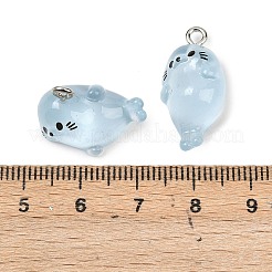 Transparent Resin Pendants&nbsp;RESI-H043-03P