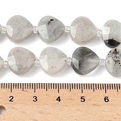 Natural Labradorite Beads Strands&nbsp;G-D316-A17