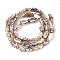 Electroplated Natural Freshwater Shell Beads Strands&nbsp;SHEL-T020-33