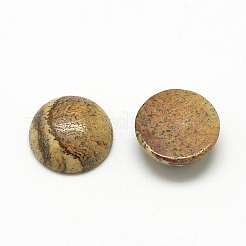 Natural Picture Jasper Cabochons&nbsp;X-G-R416-16mm-42