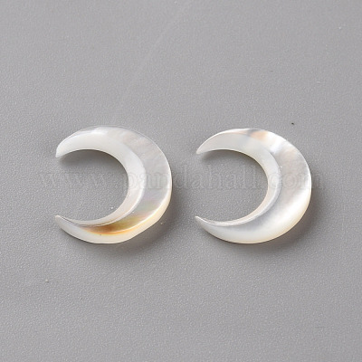Natural White Shell Beads&nbsp;SSHEL-Q311-004B-01-1