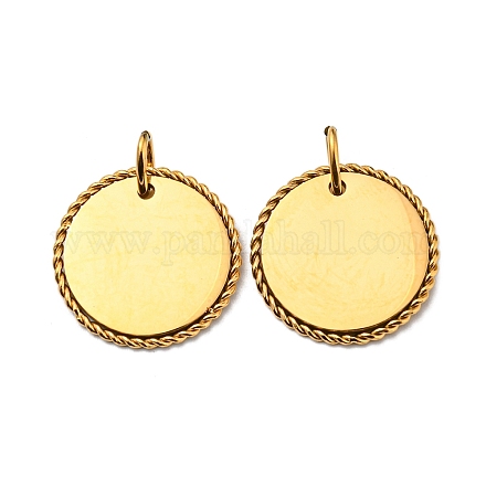 304 Stainless Steel Pendants STAS-L022-183G-1